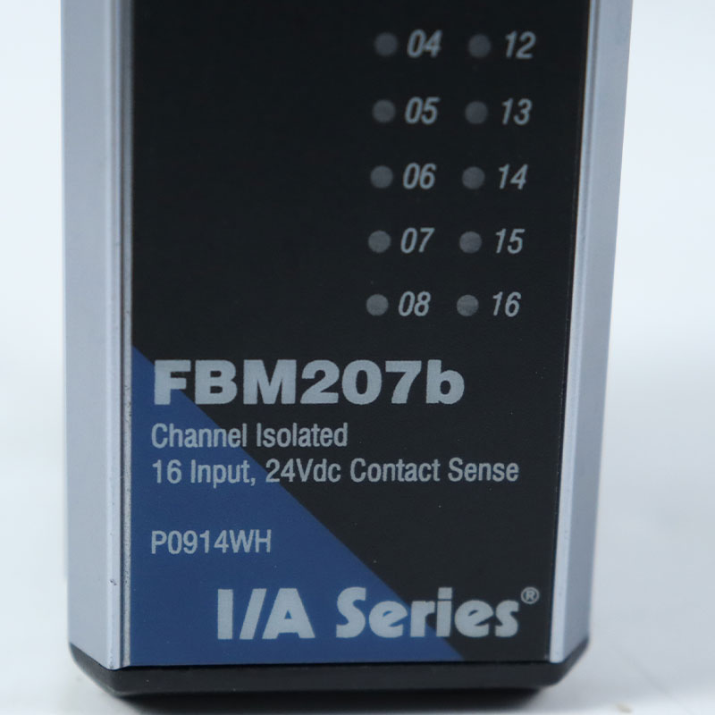 FBM207b